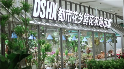 【都市花鄉】植耕長沙22年，讓人們的生活更加美好